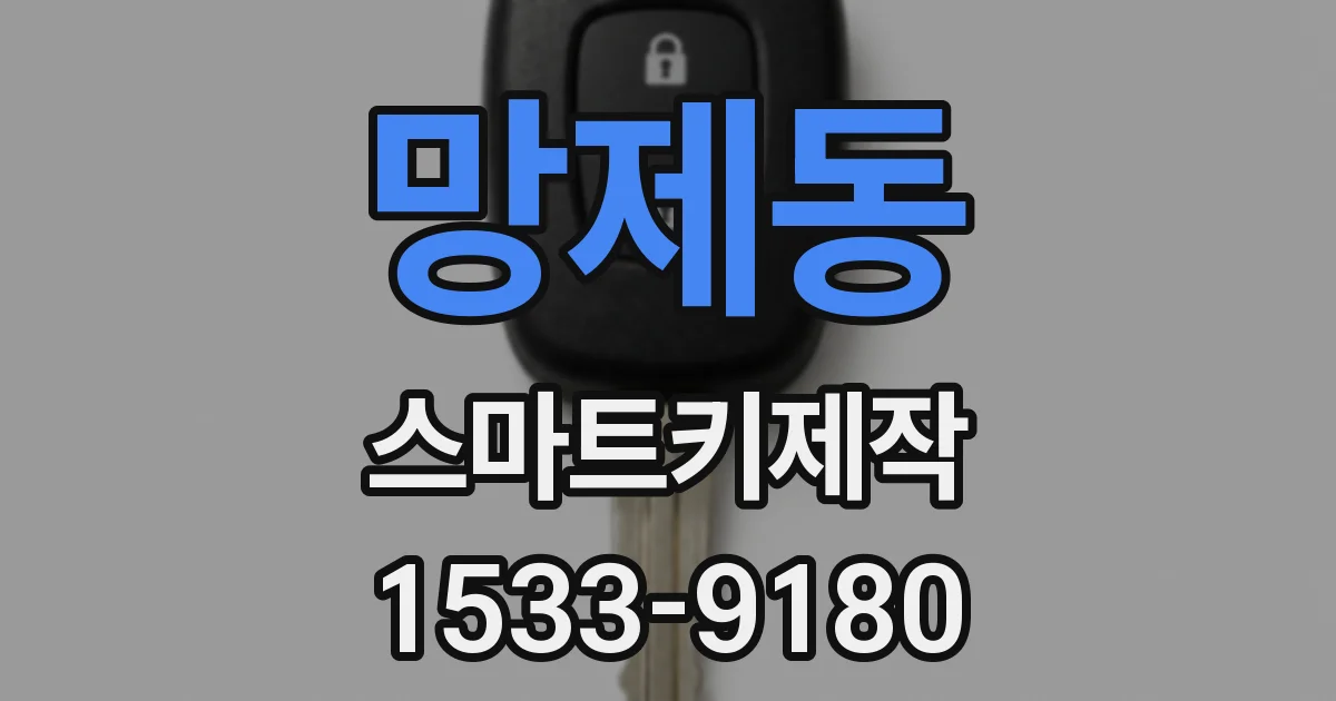 망제동 스마트키제작