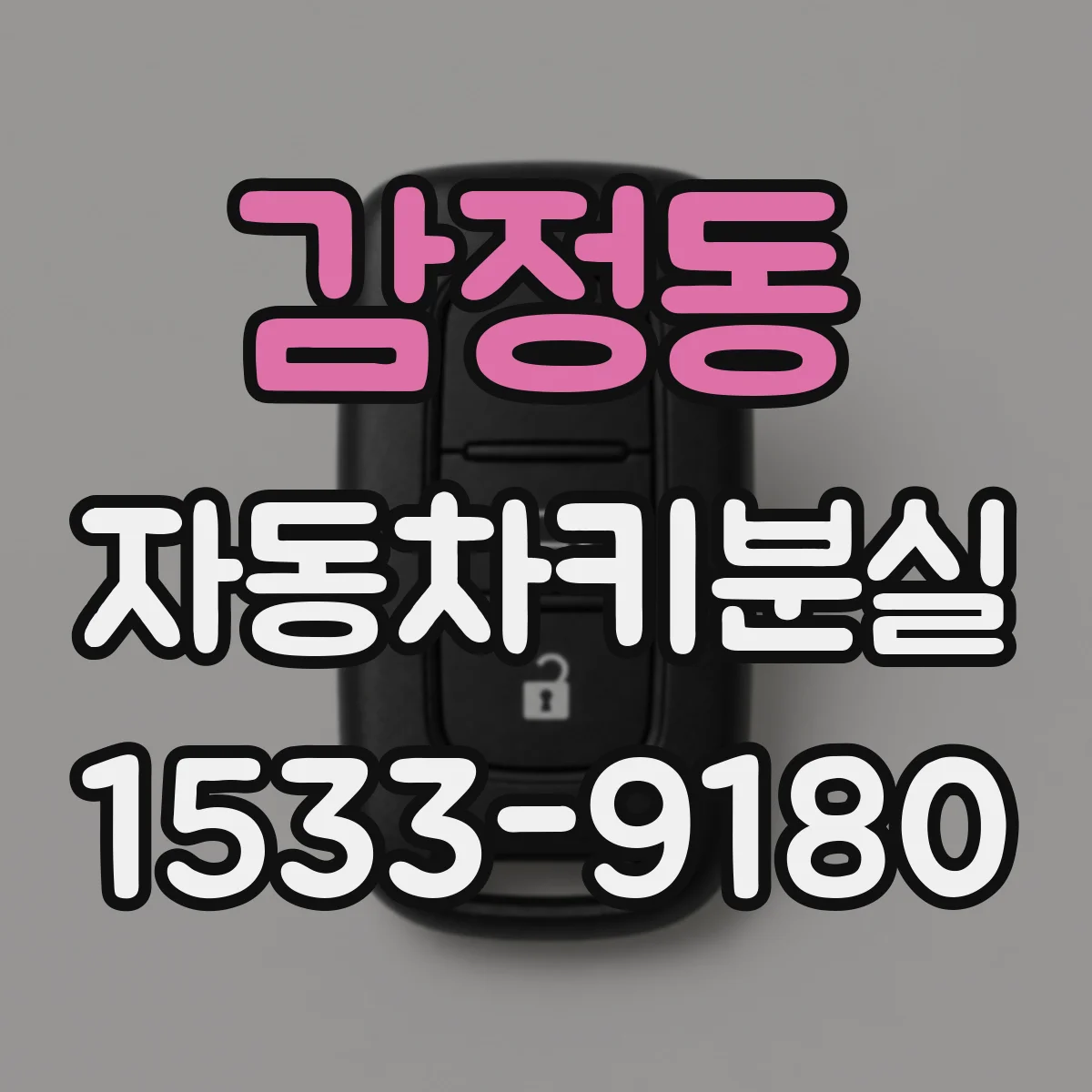 감정동 자동차키분실