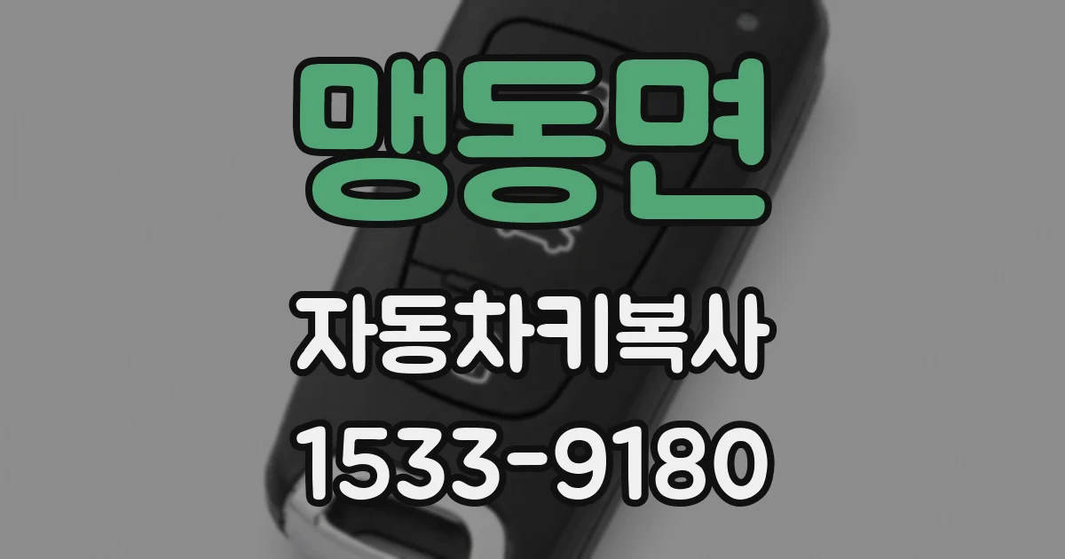 맹동면 자동차키복사