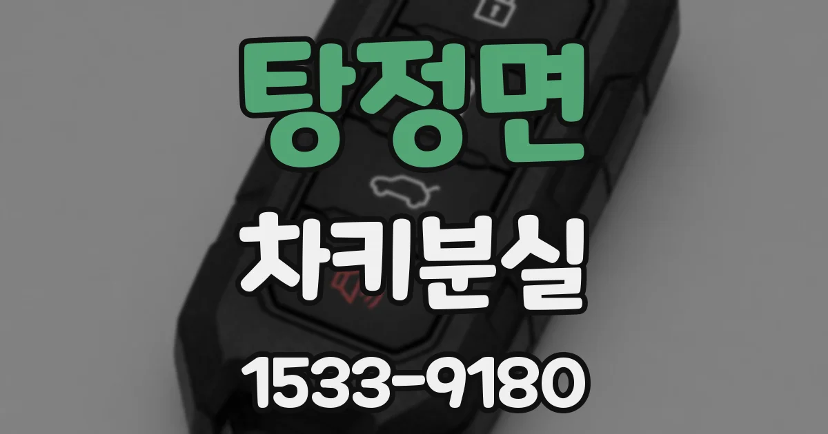 탕정면 차키분실