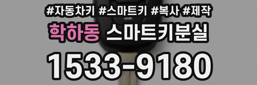 학하동 스마트키분실