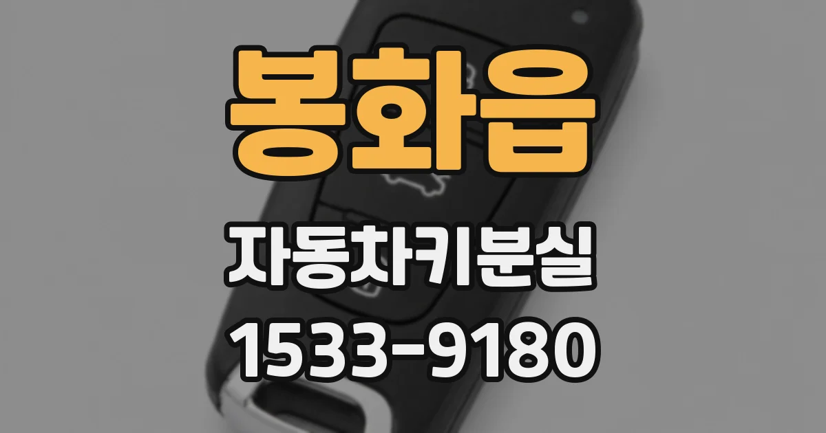 봉화읍 자동차키분실