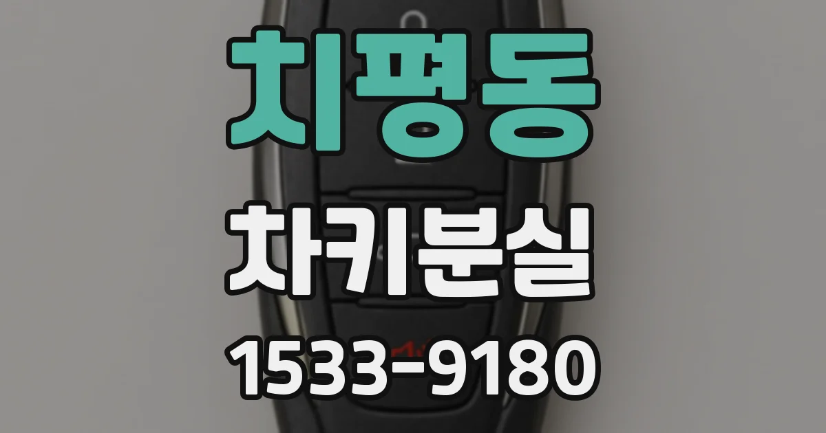 치평동 차키분실