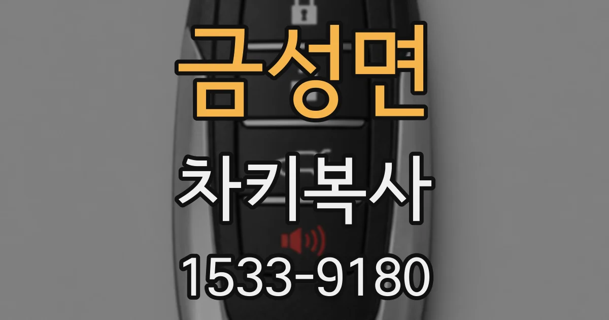 금성면 차키복사