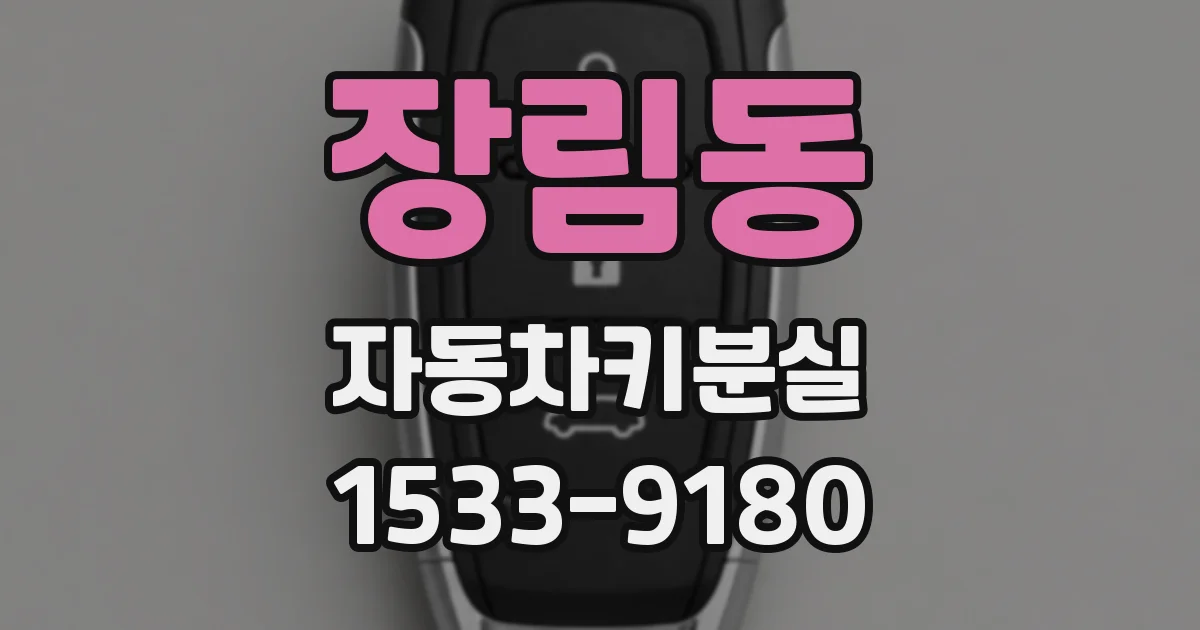 장림동 자동차키분실