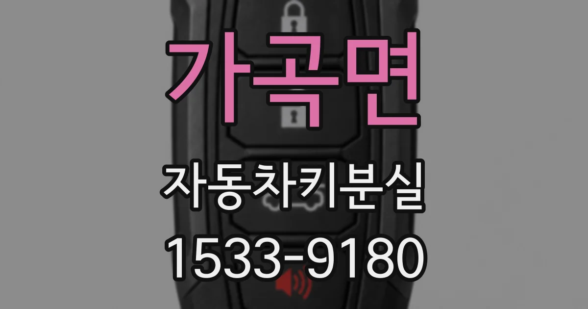 가곡면 자동차키분실