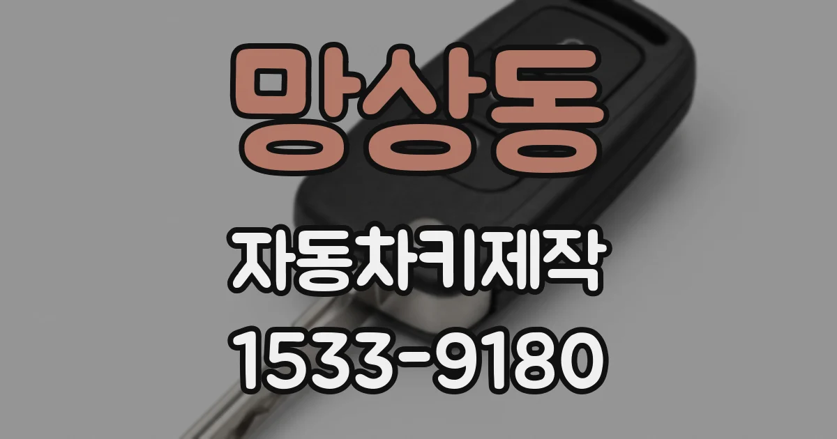 망상동 자동차키제작
