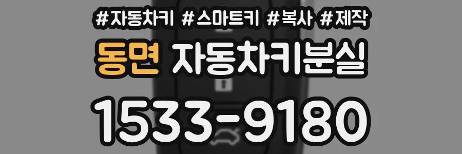 동면 자동차키분실