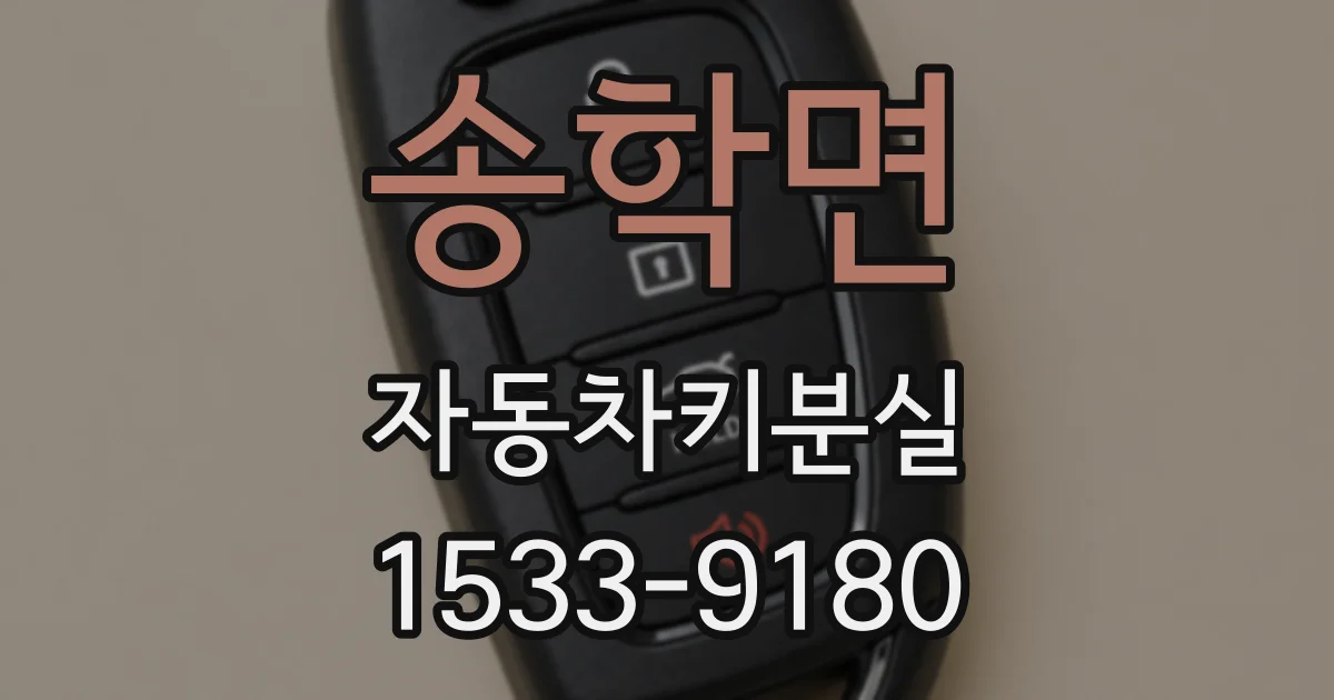 송학면 자동차키분실