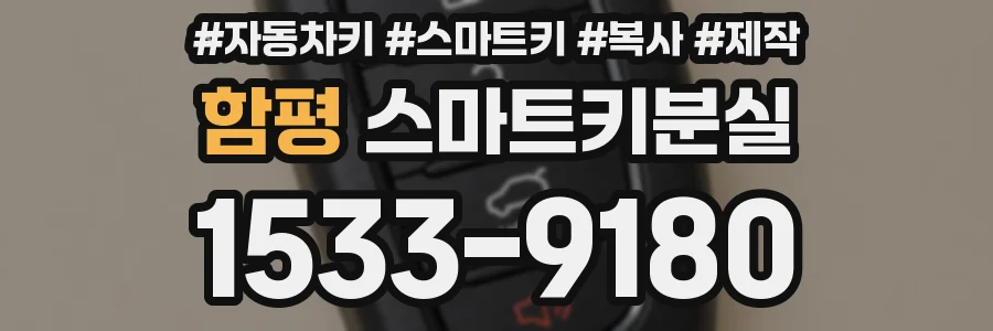 함평 스마트키분실