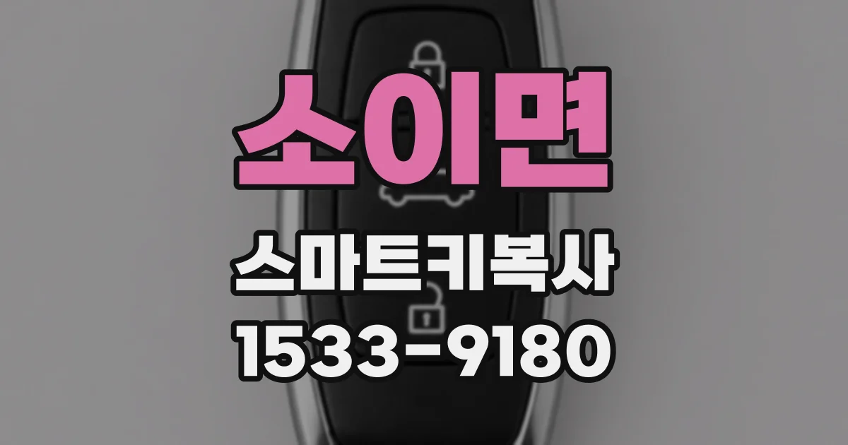 소이면 스마트키복사