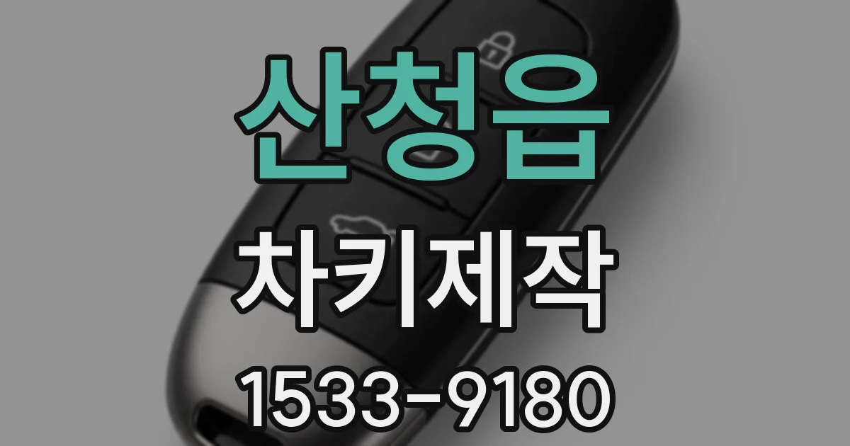 산청읍 차키제작