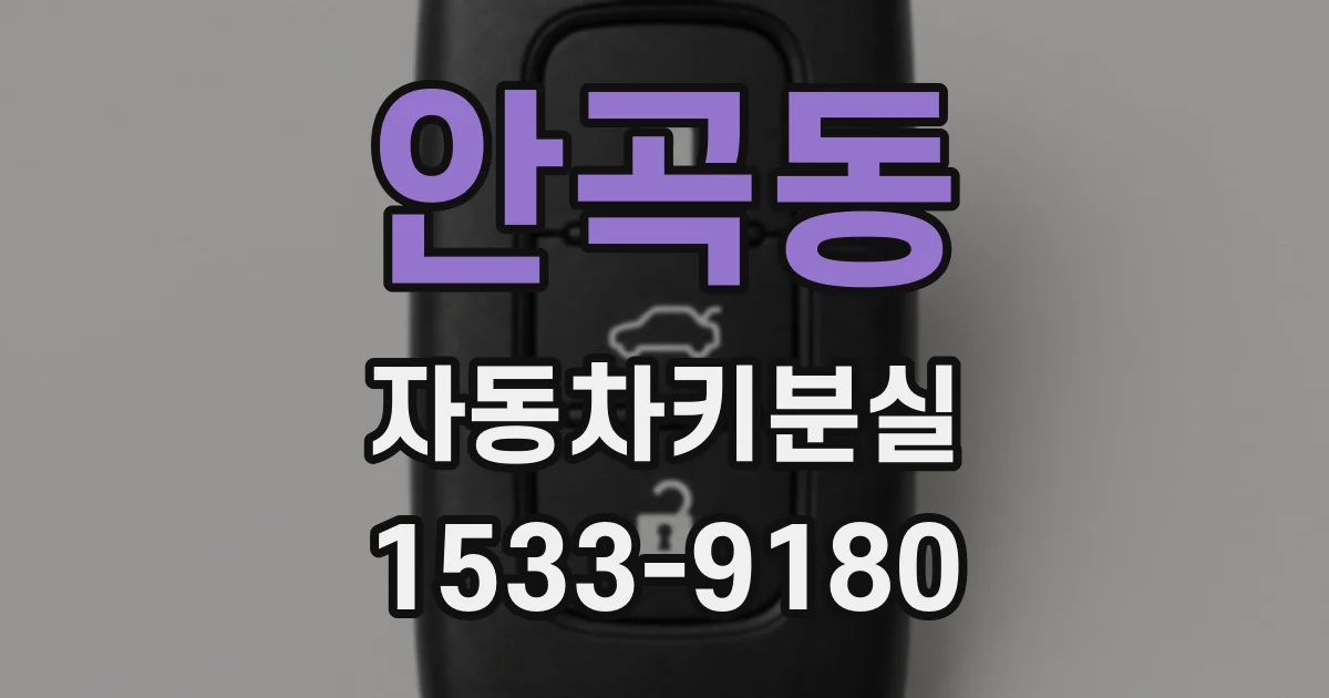 안곡동 자동차키분실