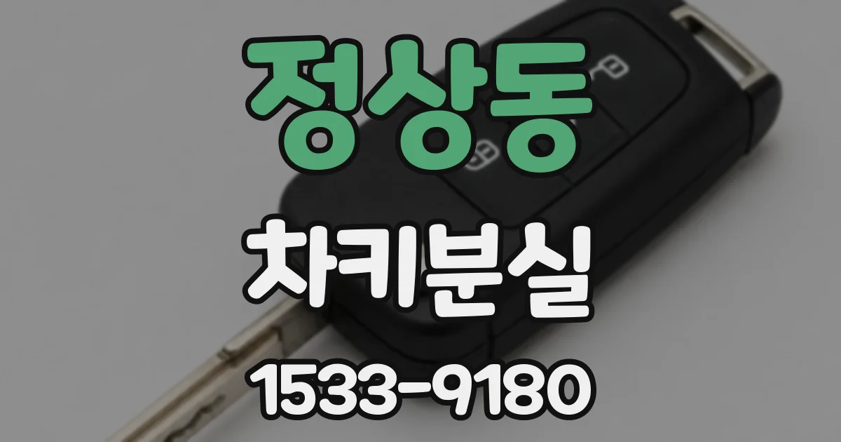 정상동 차키분실