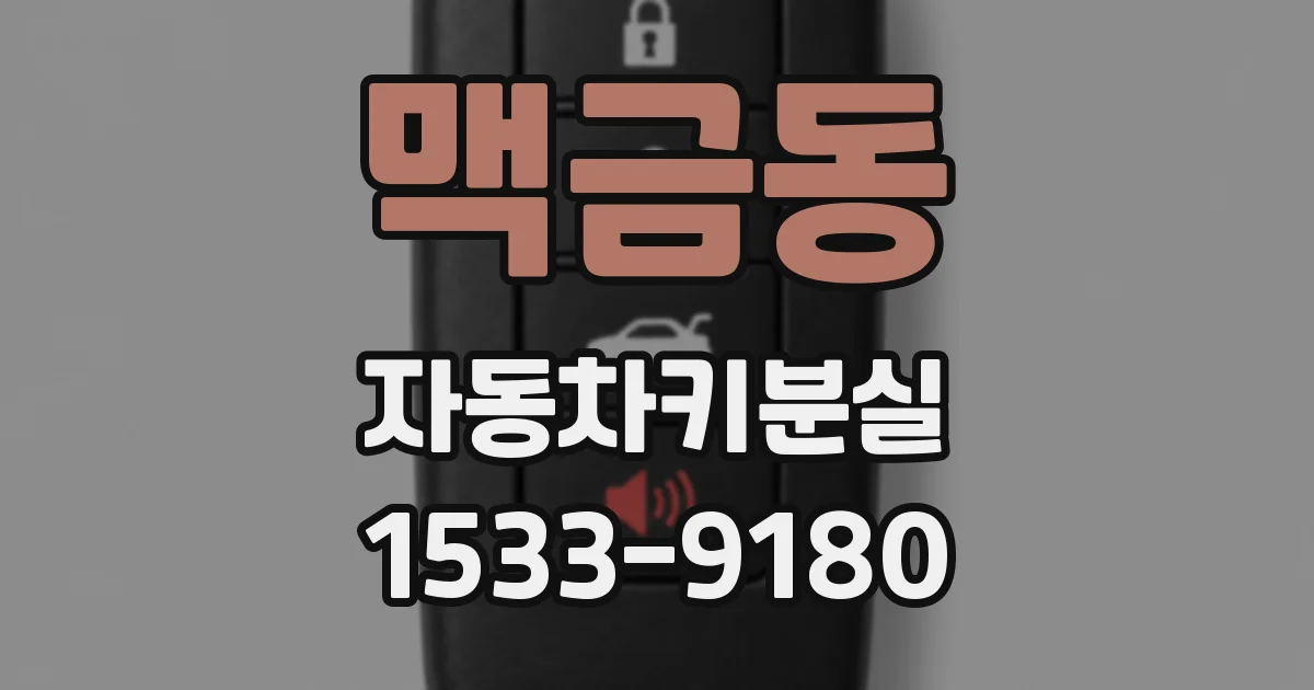 맥금동 자동차키분실