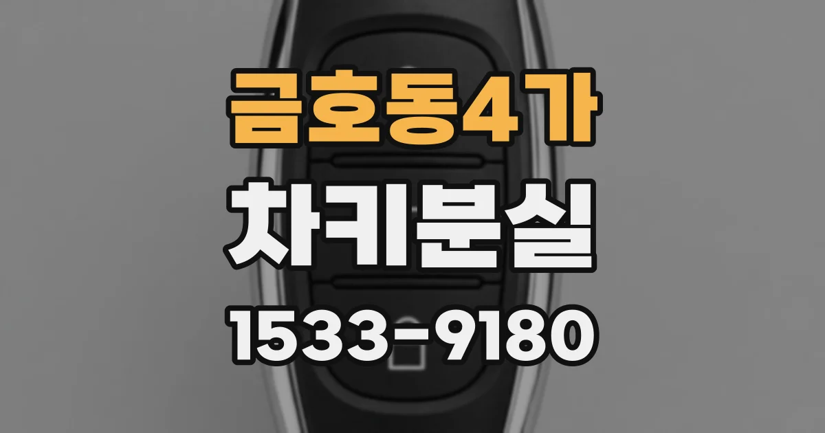 금호동4가 차키분실