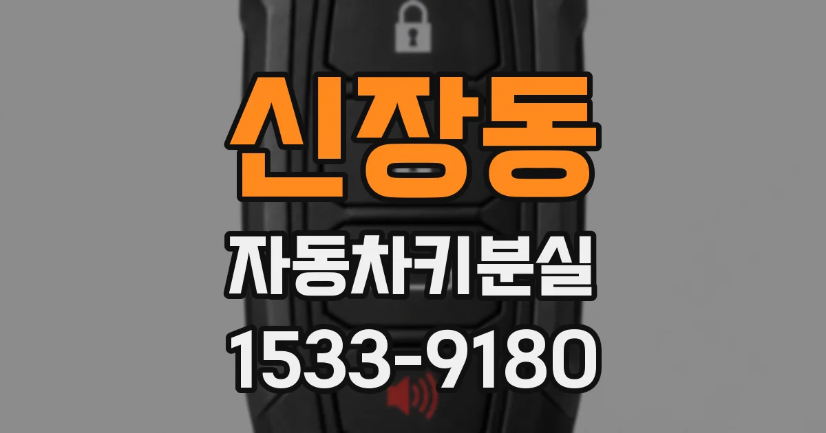 신장동 자동차키분실