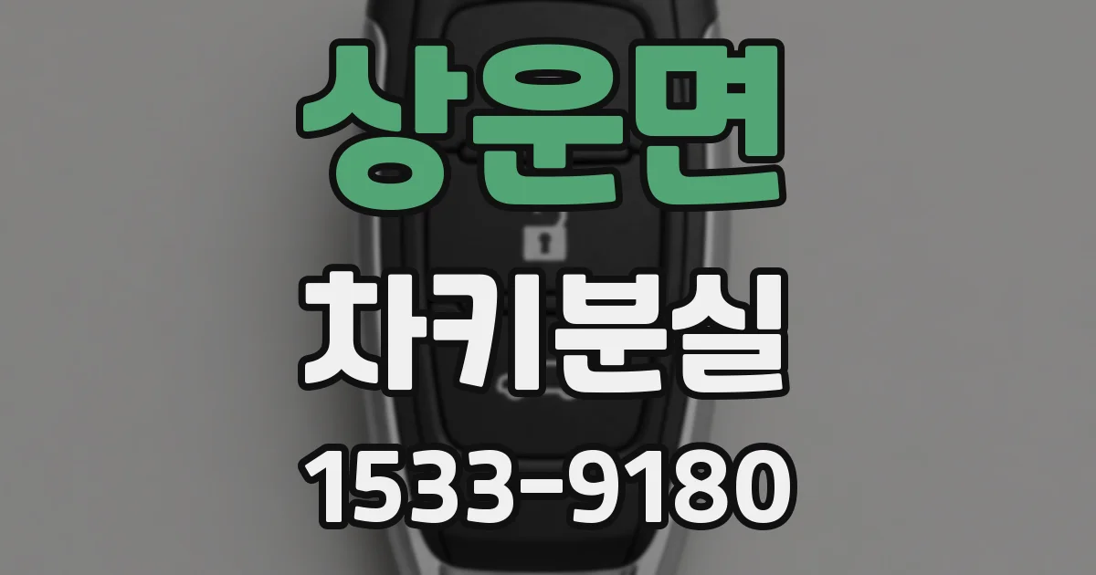 상운면 차키분실