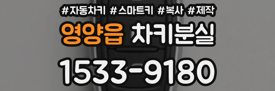 영양읍 차키분실