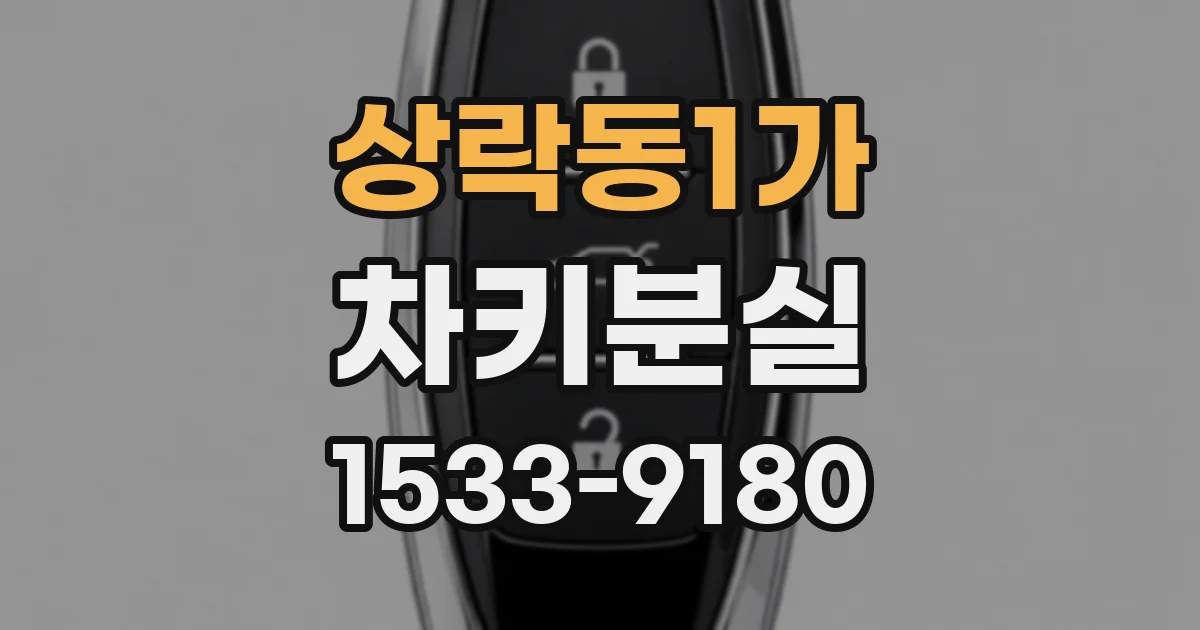 상락동1가 차키분실