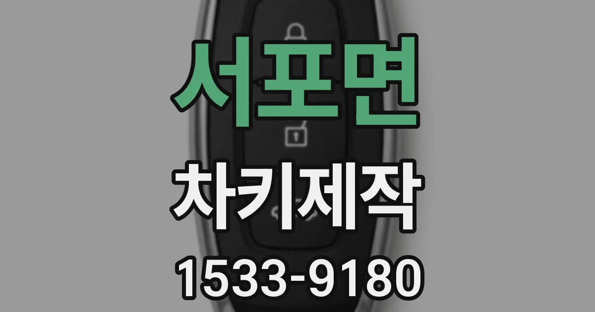 서포면 차키제작