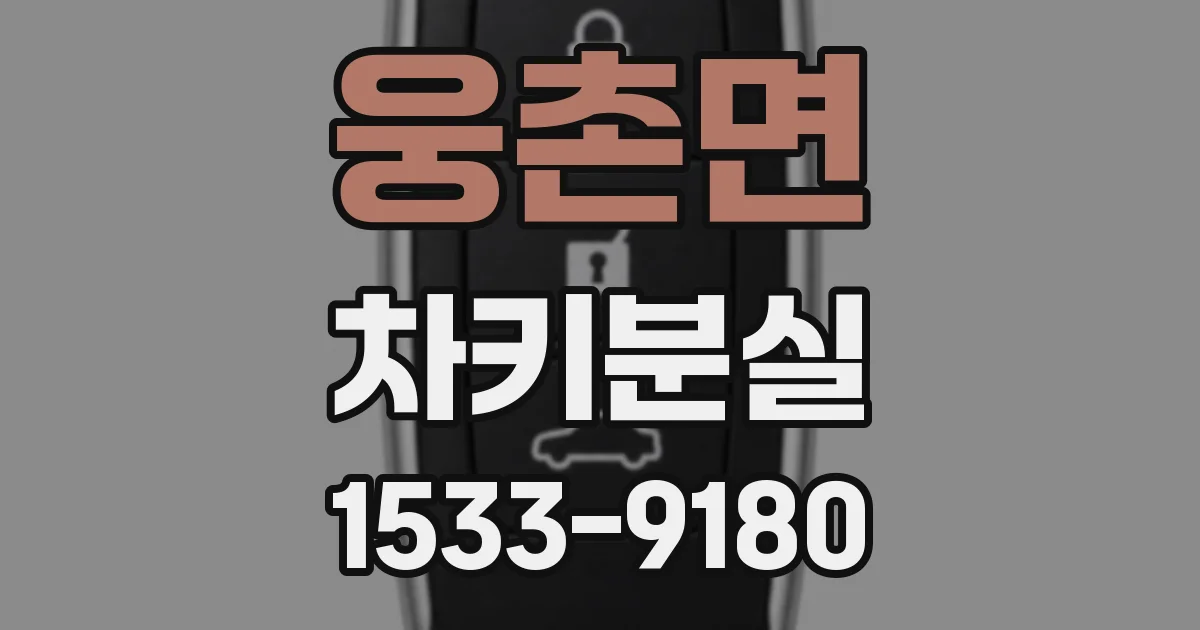 웅촌면 차키분실