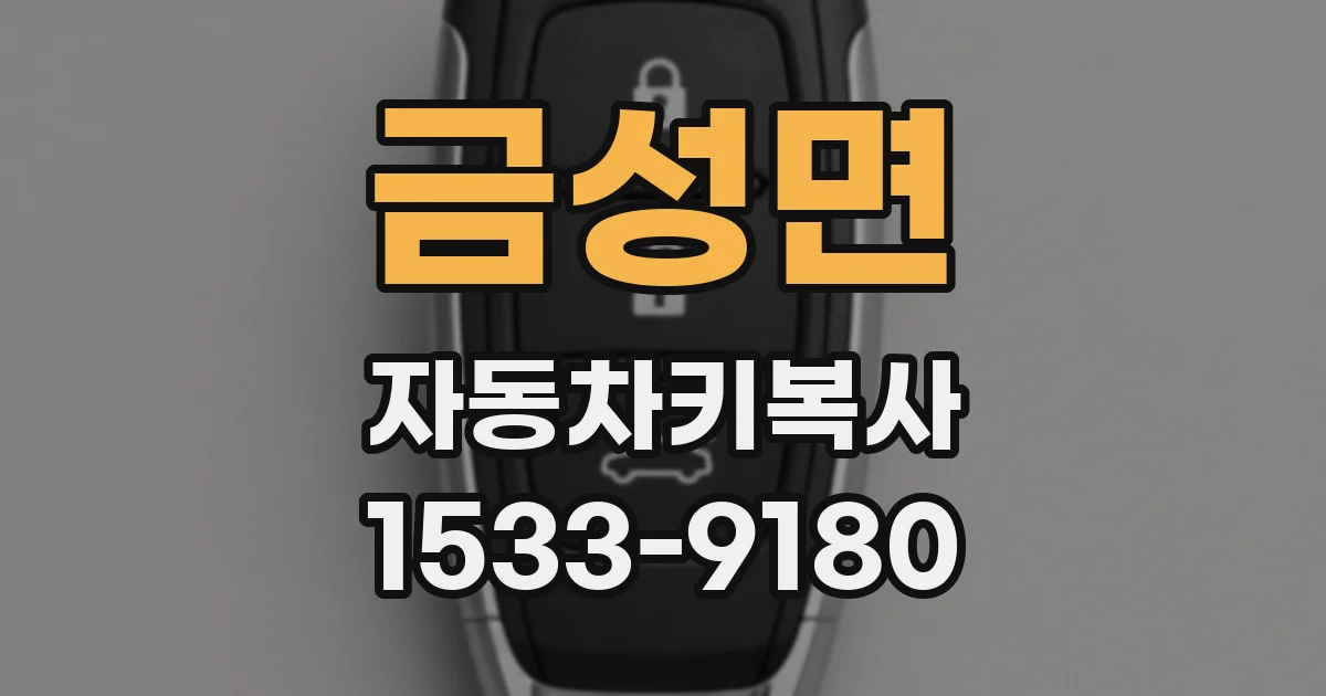 금성면 자동차키복사