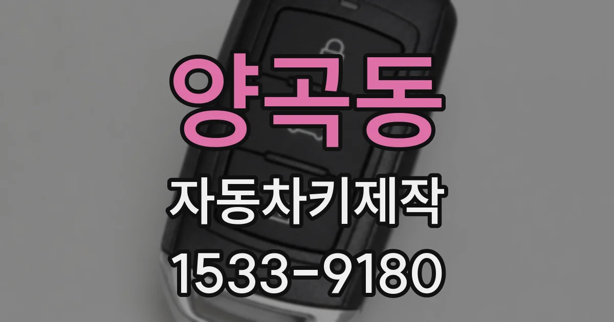 양곡동 자동차키제작