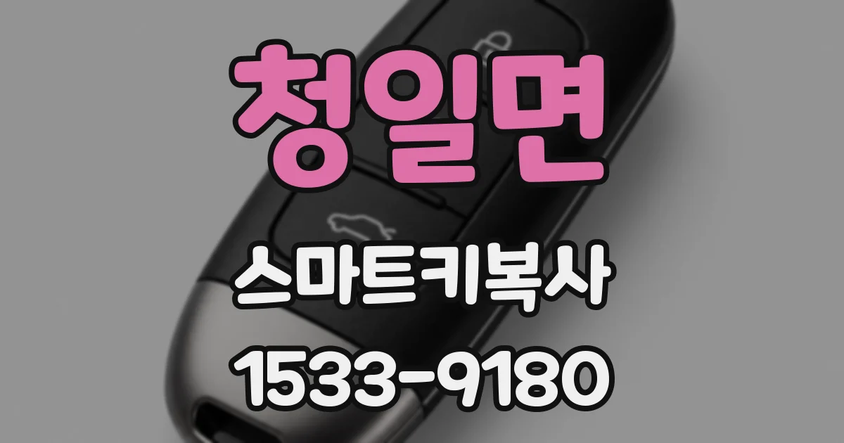 청일면 스마트키복사