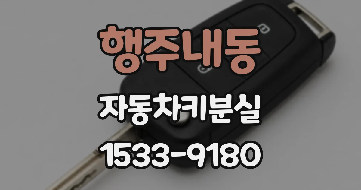 행주내동 자동차키분실