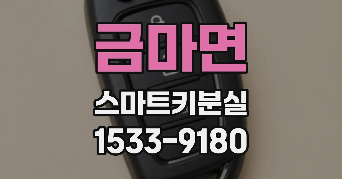금마면 스마트키분실