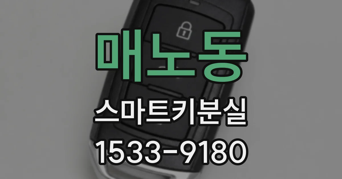 매노동 스마트키분실