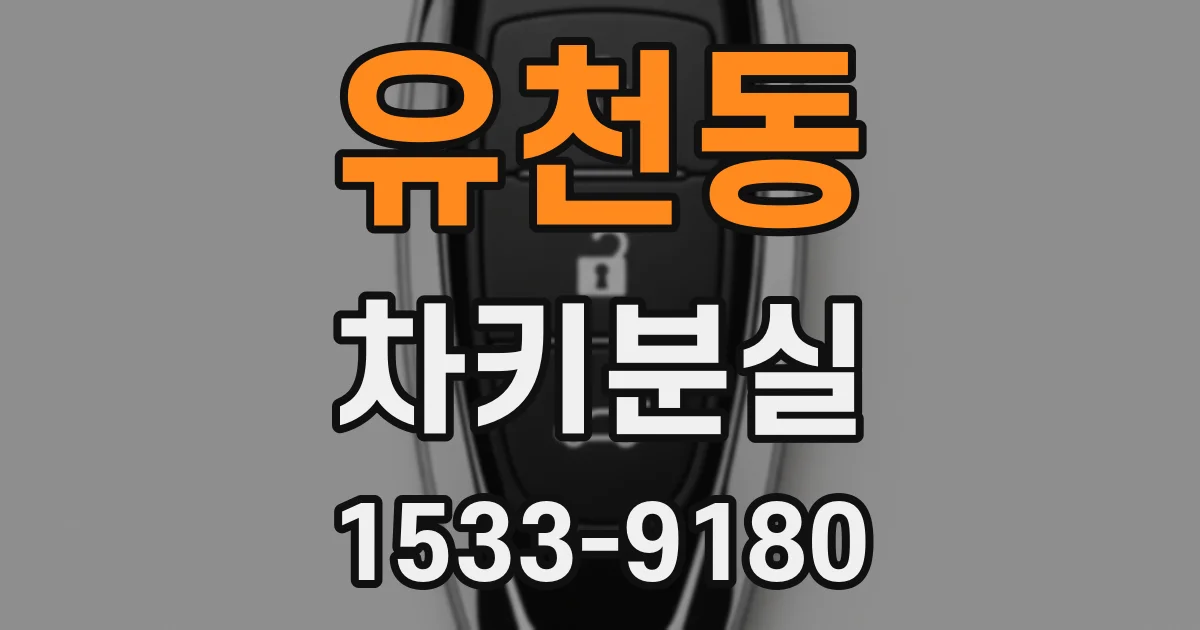 유천동 차키분실