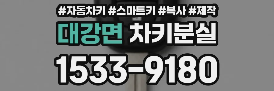 대강면 차키분실