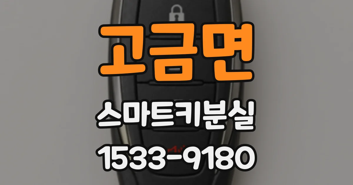 고금면 스마트키분실