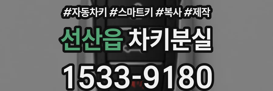선산읍 차키분실