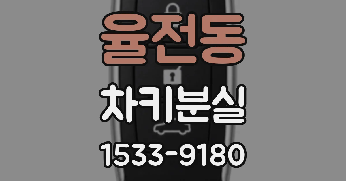 율전동 차키분실