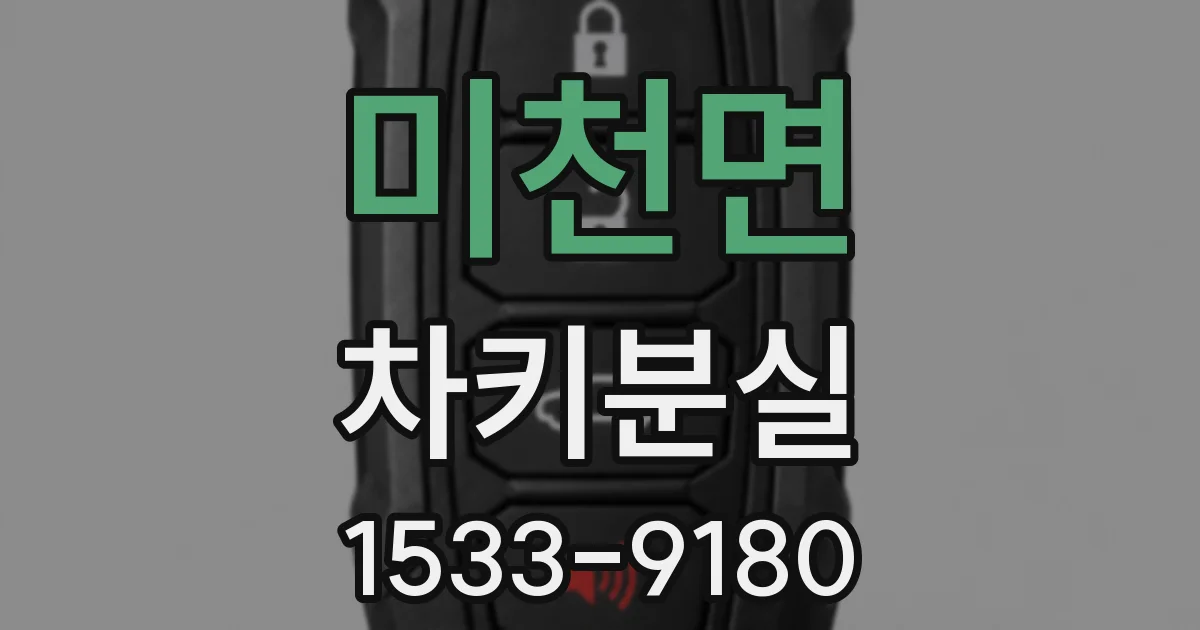 미천면 차키분실