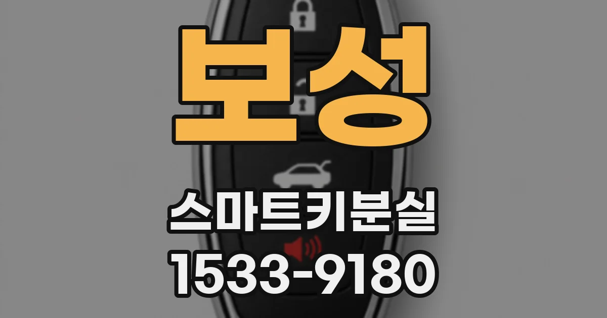 보성 스마트키분실