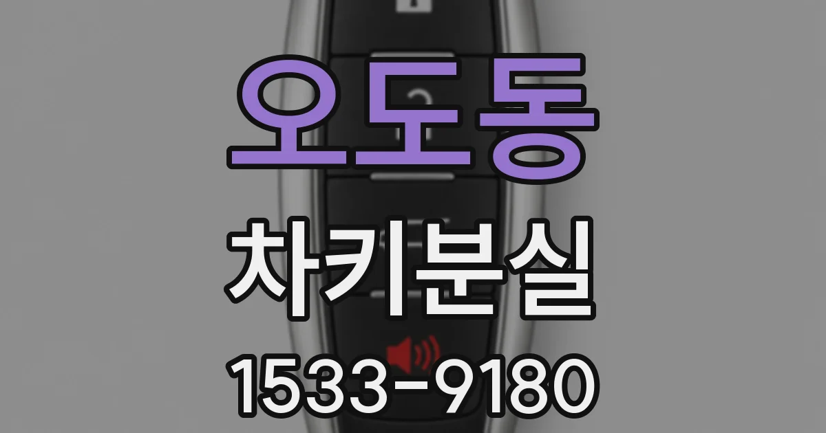 오도동 차키분실