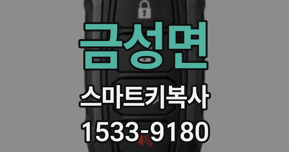금성면 스마트키복사