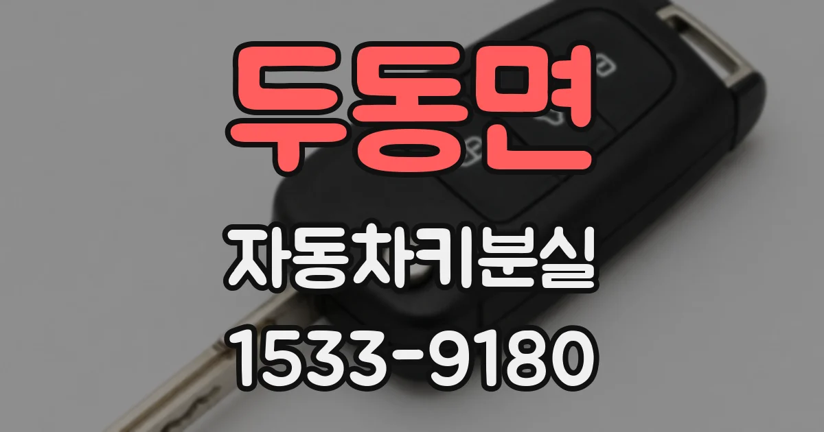두동면 자동차키분실