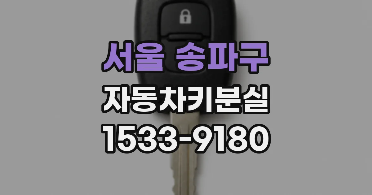 서울 송파구 자동차키분실