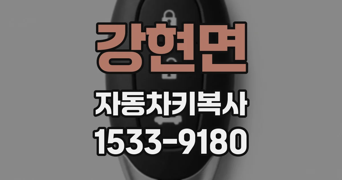 강현면 자동차키복사