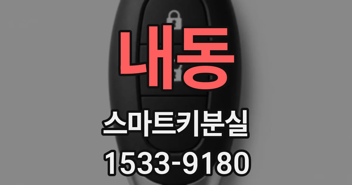 내동 스마트키분실