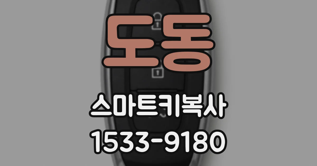 도동 스마트키복사