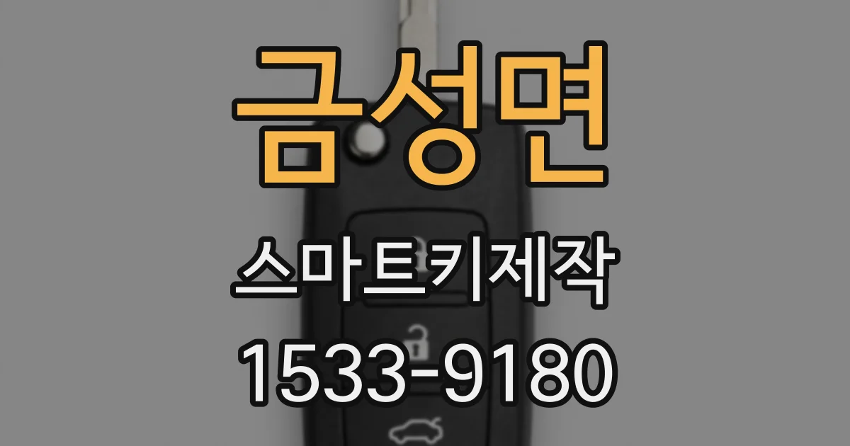 금성면 스마트키제작