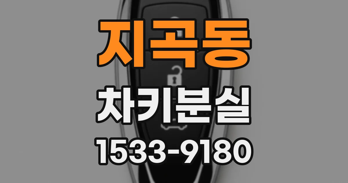 지곡동 차키분실