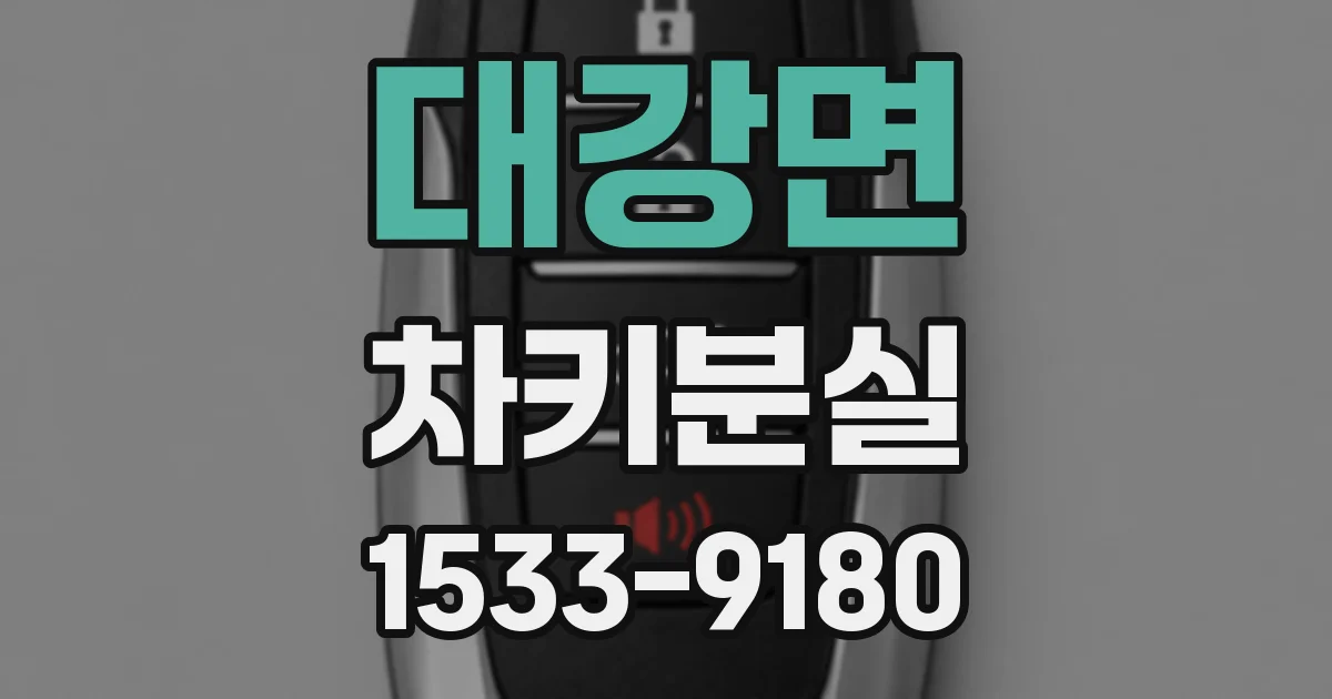 대강면 차키분실