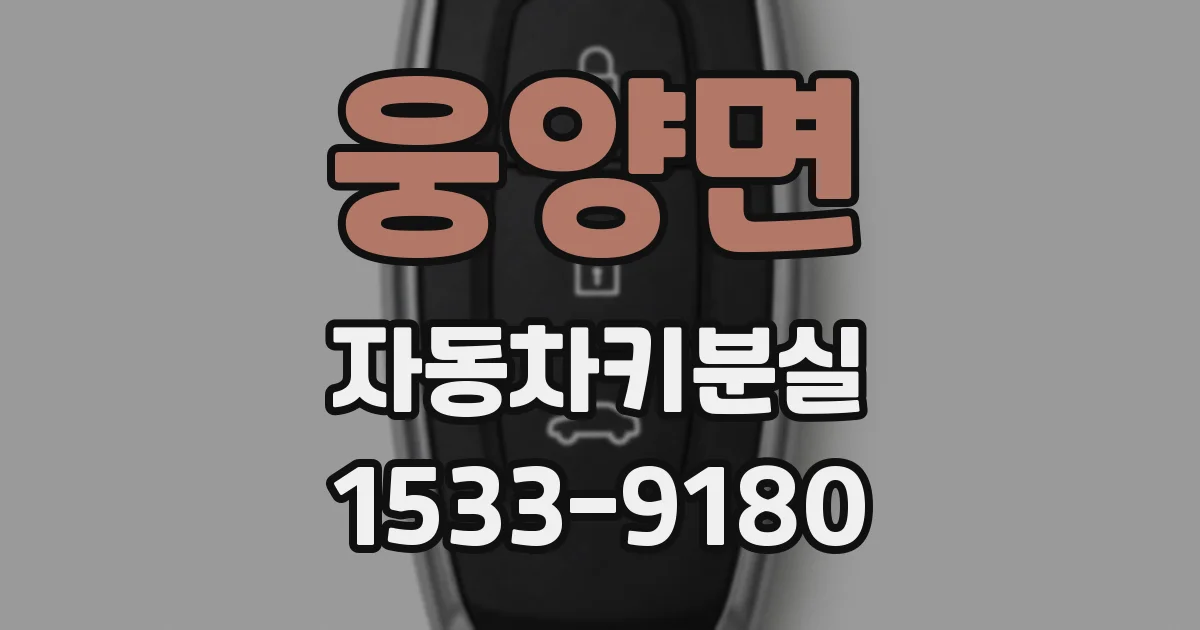 웅양면 자동차키분실